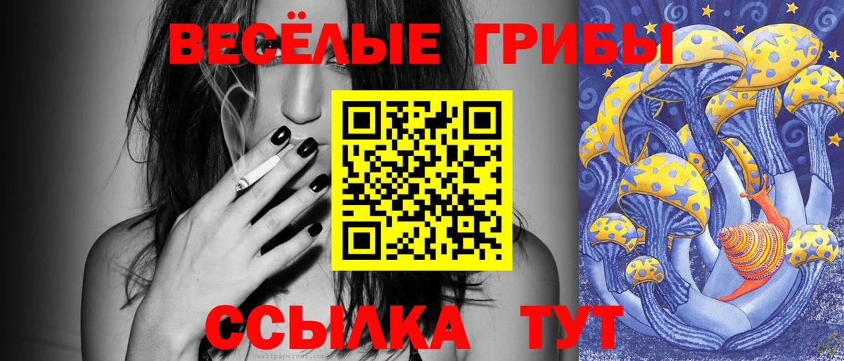 Галлюциногенные грибы прущие грибы  Вход с VPN  Орёл  Галлюциногенные грибы GOLDEN TEACHER 